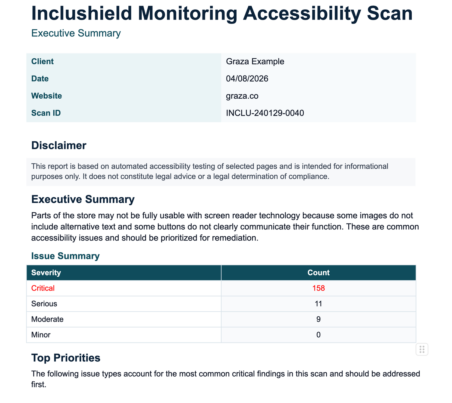 Accessibility Report document screenshot